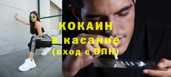 индика Алзамай