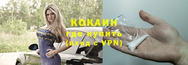 МДПВ Гусев