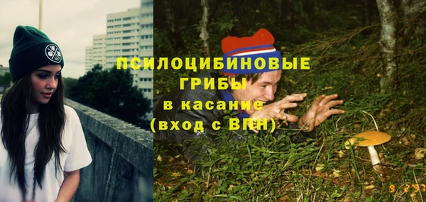 ГАЛЛЮЦИНОГЕННЫЕ ГРИБЫ Покачи