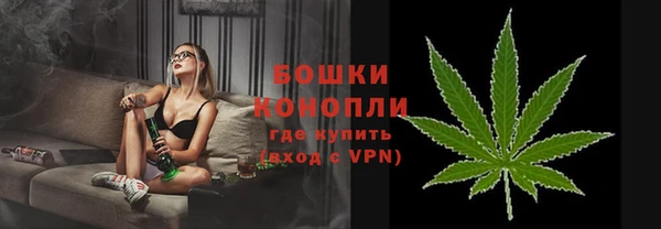 ГАЛЛЮЦИНОГЕННЫЕ ГРИБЫ Покачи