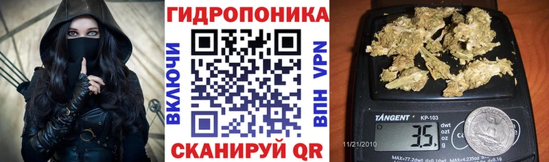 Бошки Шишки планчик Дубовка